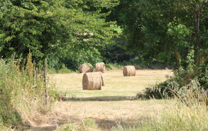 5e6b57823203b_IMG7448.JPG