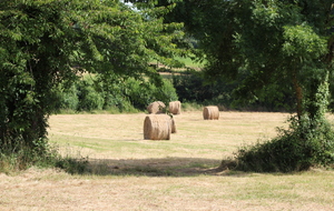 5e6b57a44aafe_IMG7450.JPG