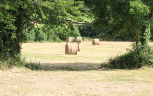 5e6b57b68507a_IMG7451.JPG