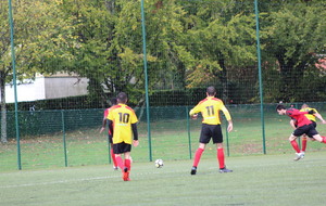 617ee4a1d578b_IMG0682.JPG