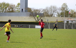 62551122d0ef9_IMG3081.JPG