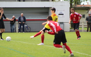 625db14814280_IMG3386.JPG