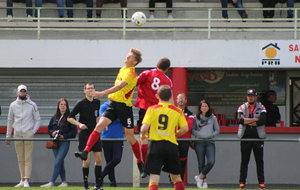 625db162c4ba2_IMG3391.JPG