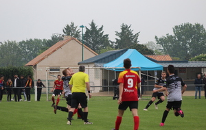 62658db59fcfc_IMG3538.JPG
