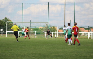 6278bdf9f2c91_IMG3871.JPG