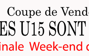 GJ PAYS CHEFFOIS - GJ VSF/USBB/USG  U15-A 